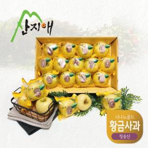 [기타]산지애 황금사과 시나노골드 3kg 1box / 중과, 청송산 , 당도선별 12brix