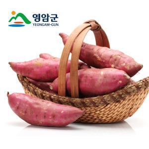 영암 황금 호박고구마 한입 (50g-70g) 3kg