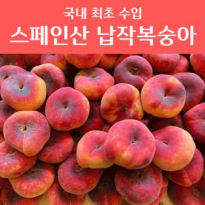 유럽의맛 오리지널 아이스 스페인 납작복숭아