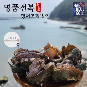 완도 명품 활전복 특대 8-9미 1kg [손질솔동봉]