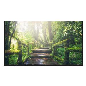 LG전자 OLED65B3NNA 각도조절 벽걸이 4K 65인치 OLED TV 운송료상이 대성가전