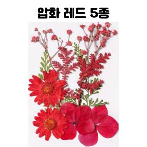 레진 공예 아트 재료 믹스 레드 압화 드라이 플라워