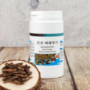 열풍건조 벼메뚜기 40g 소동물 앵무새 고단백질 간식