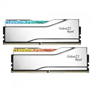 G.SKILL DDR5-6400 CL32 TRIDENT Z5 ROYAL 실버 패키지 (32GB(16Gx2))