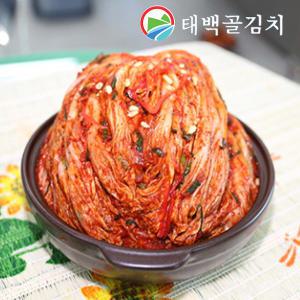 태백골김치 태백 생 포기 배추 김장 보쌈 김치 금치 5kg 10kg