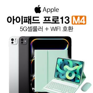 아이패드 프로 M4 13인치 2T 실버 KT 5G 셀룰러 통신사 분납 구매