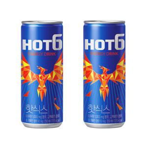 핫식스 250ml x 30캔-2박스(60캔)