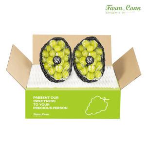 [팜컨] 고당도 샤인머스캣 1kg 2수 가정용