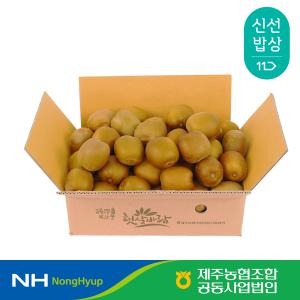 [제주농협] 고당도 제주 하트 골드키위 2kg 3kg 신품종