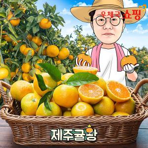 [우체국쇼핑]제주귤왕 효돈농장 산지직송 노지감귤 5kg, 10kg