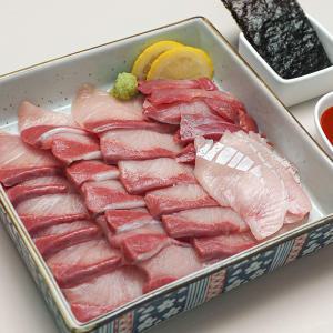 [인어교주해적단] 9kg 이상 대방어회 300g 순살중량 (300g, 500g)