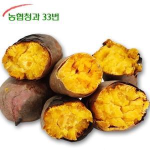 [농협청과33번] 호박고구마 10kg 왕특/대