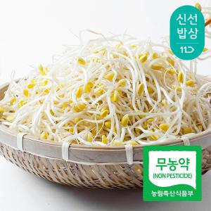 [품질보장] 국산콩으로 재배한 이조은 산소콩나물 2kg