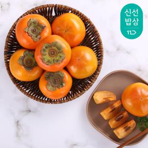 [품질보장] 경남 햇 부유 단감 5kg 21-26과