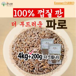 The  큰나무  파로(엠머밀) 4.2kg (4kg+200g) 파로쌀 파로곡물