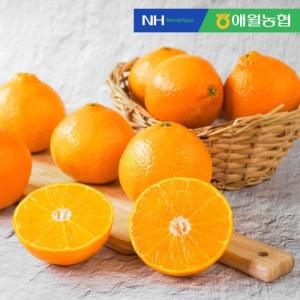 [애월농협] 귤로장생 제주 황금향 4kg 로얄 (13-21입)