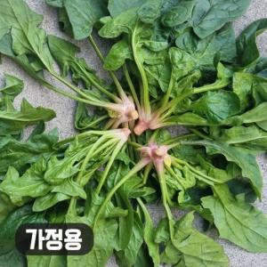 해풍맞고 자란 남해 시금치 보물초 (가정용) 2kg (벌크 포장)