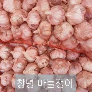 2024년 경남 창녕 햇마늘 특대 5kg 출시 난지형 국내산 통마늘 햇양파 흑마늘용 김장용 요리용