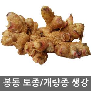 2024 햇 상품 출하 봉동 개량종생강/토종/세척생강 1kg