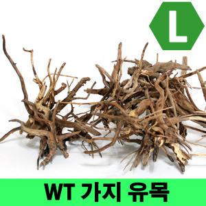 WT 가지유목 L (25~35cm)/ 수족관 어항 장식품 수초 모스 활착 레이아웃 나무 구피 열대어 은신처 뿌리