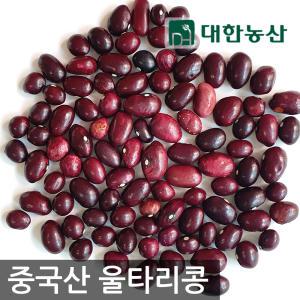 [대한농산] 울타리콩 4kg (2kgx2) 고소한 수입 밤콩 소용량 잡곡