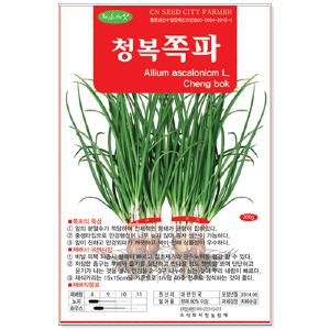 쪽파씨앗 200g