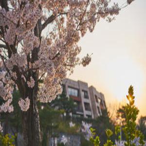 [경북 호텔] 강동리조트 (구, 블루원) (경주(보문단지,황리단길,불국사,양남,감포,안강))