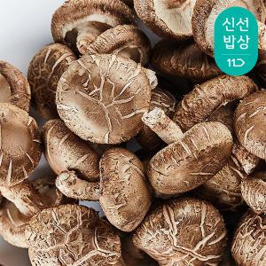 [품질보장]무안 도담 생표고버섯 1kg 못난이