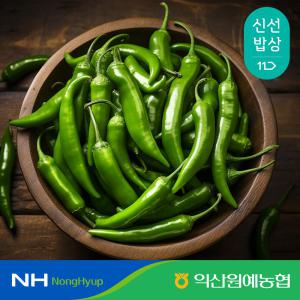 [익산원예농협] 국산 청양고추 특품 1kg