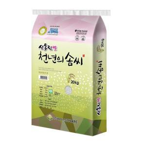 2024년산 쌀20kg 신동진쌀 백미 rice20kg 천년의솜씨 라이스프라자