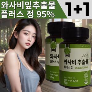 [원쁠원] 국산 고함량 와사비잎 추출물 95% 플러스 120정 2개월 분