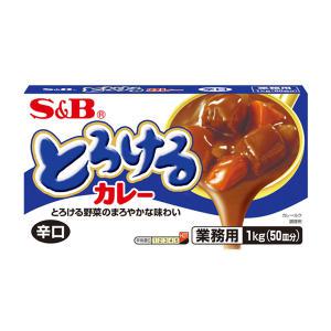 에스앤비 토로케루 카레 매운맛 1kg (50인분) 일본 업소용 대용량