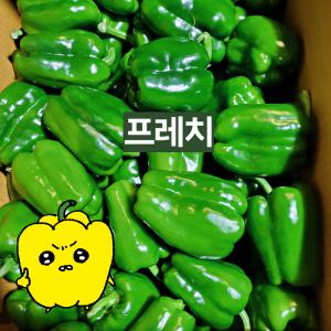 프레치 국내산 아삭 싱싱한 청피망 피망 1kg