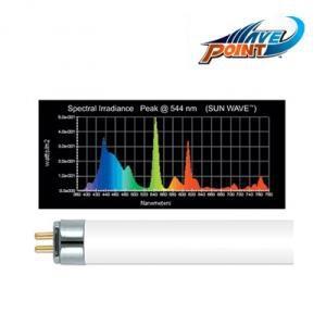 웨이브포인트 T5 고출력[썬웨이브 12000K] 54W 120cm용/ 수족관 수조 어항 등 수초 램프 형광등 조명 4자
