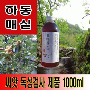 지리산산골 3년숙성 황매실원액 1000ml 매실청 매실액기스