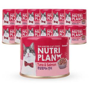 뉴트리플랜 흰살참치와 연어 160g x12개/고양이 간식