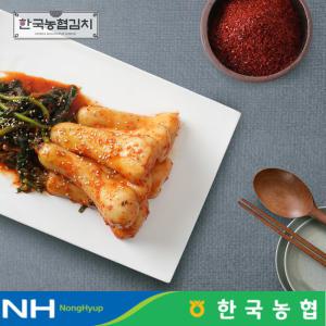 한국농협김치 전라도 순천 남도 총각김치 3kg