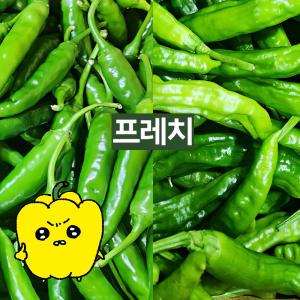 프레치 국내산 청양고추500G+꽈리고추500G 세트