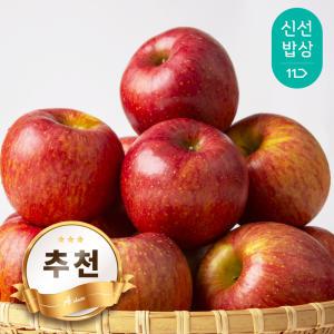 [품질보장] *추천* 경북 햇 부사 사과 가정용 A급 한입 꼬마사과 2kg 13-15과