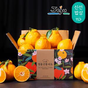 [품질보장]제주 서귀포 한라봉 2kg(소과/12과내외) / 실중량 / 제주현지발송 / 당도보장 / 선별배송!!