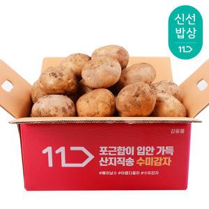 [품질보장] 노지재배 감자 5kg 왕특크기