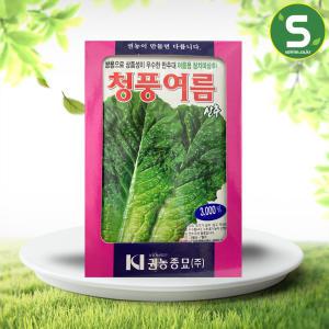 여름 청치마상추씨앗 3000립 청풍여름 상추씨앗