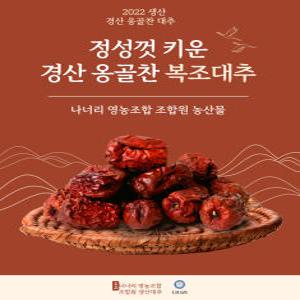 대추 동결 건조 분말 경산 건대추 특초 100% 250g