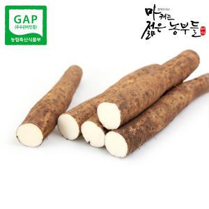 [마캐는젊은농부들]마 GAP 장마 특상품(굵은것)2kg 3kg 참마 햇마 선물용