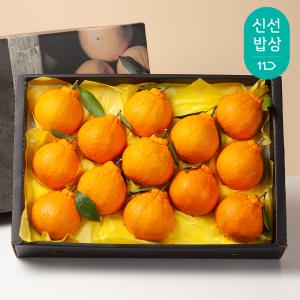 [품질보장] 한라봉 선물세트 3kg/중과이상 특상품 엄선