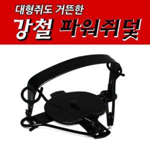 국산 쥐덫 대형 쥐틀 살충제 쥐약 끈끈이 파워쥐덫 톱날덫 쥐본드 망쥐덫