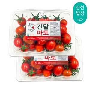 스테비아 대추방울토마토 1kg