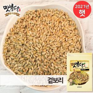 2024년 겉보리 통보리 국내산 5kg