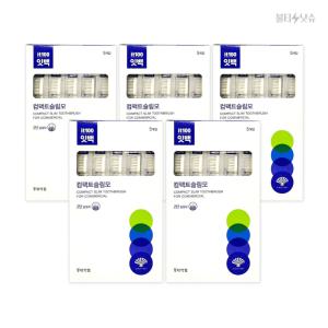 잇백 it100 칫솔 대용량 컴팩트 슬림모 2단 칫솔 5개입 5개