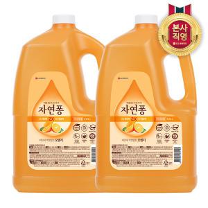 자연퐁 오렌지 3.92L x2개